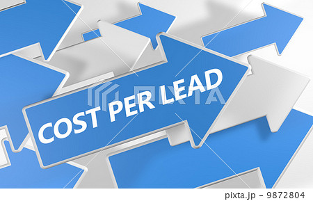 Cost per Lead 9872804