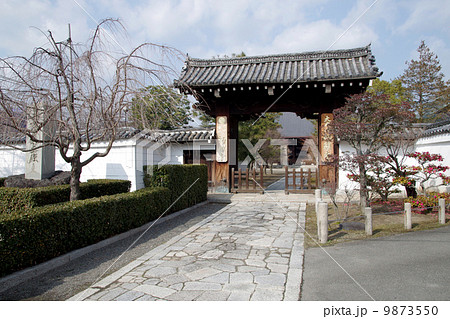 妙顕寺・山門(京都) 妙顕寺・山門(京都) 9873550