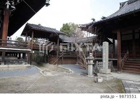 妙顕寺・境内(京都) 妙顕寺・境内(京都) 9873551