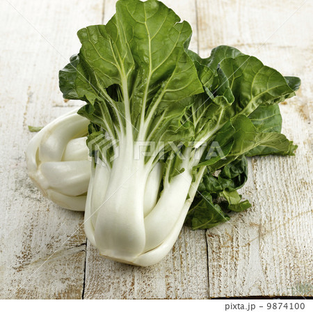 White Choy Sum 9874100