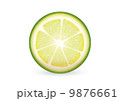 Sliced Lime 9876661