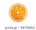 Sliced Orange 9876662