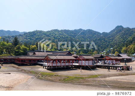 厳島神社 9876972