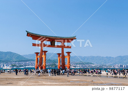 厳島神社 大鳥居 厳島神社 大鳥居 9877117