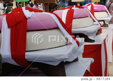 大餅奉納 9877184