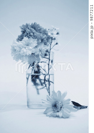bouquet  in monotone color 9877211