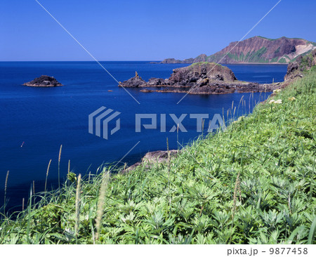 夏の澄海岬とゴロタ岬 9877458