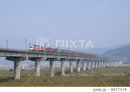 大安渓を渡る特急列車 9877479