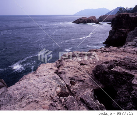 本州最東端、鯔ヶ崎 9877515