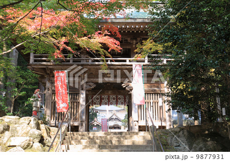 秋の四国霊場第88番札所「大窪寺」(結願所）紅葉と山門(二天門） 9877931