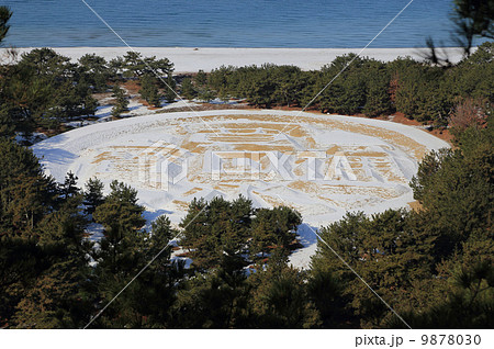 香川県観音寺市琴弾公園、うっすらと雪化粧した「銭形砂絵」（正面） 9878030