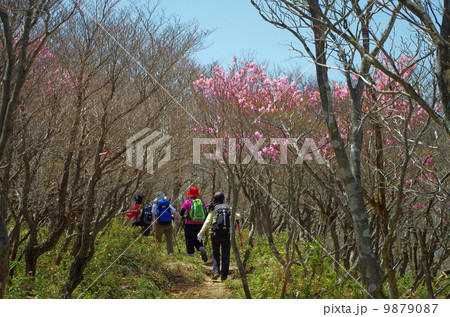 春のトレッキング(国見岳) 9879087