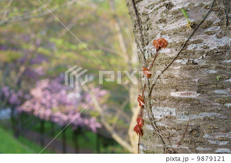 エコのイメージ 9879121