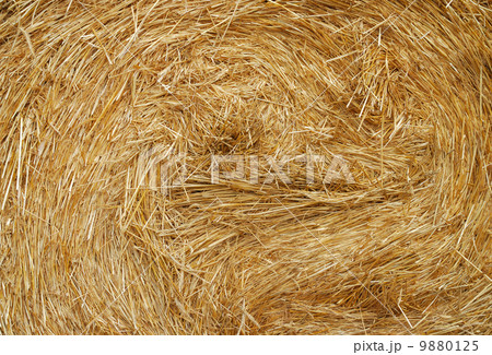 Haystack 9880125