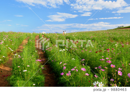 二人の世界 9880463