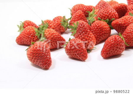 紅ほっぺ 9880522