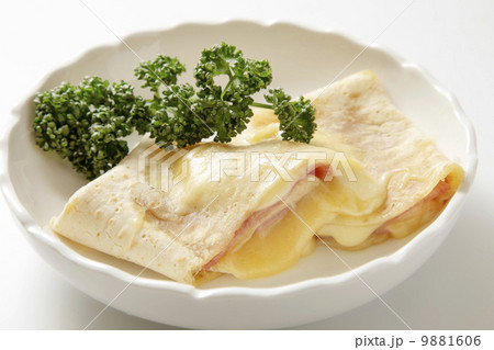 ブリトー ブリトー 9881606