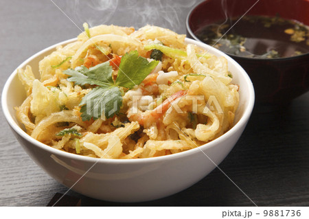 かき揚げ丼 かき揚げ丼 9881736