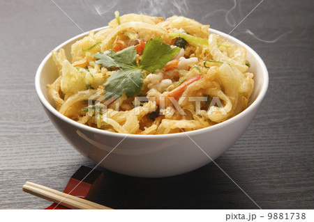 かき揚げ丼 かき揚げ丼 9881738