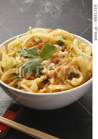 かき揚げ丼 9881739