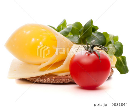 Cheese sandwich isolated on white background cutout Cheese sandwich isolated on white background cutout 9881844