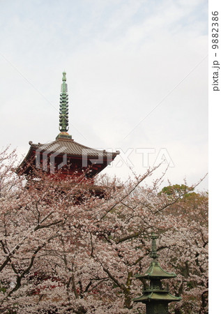 法華経寺　五重塔 9882386