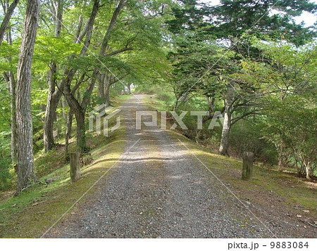 義経神社の小道 義経神社の小道 9883084