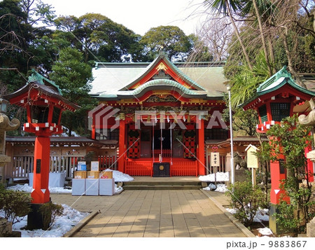 早春の江の島 早春の江の島 9883867