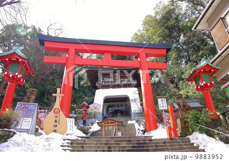 早春の江の島 早春の江の島 9883952