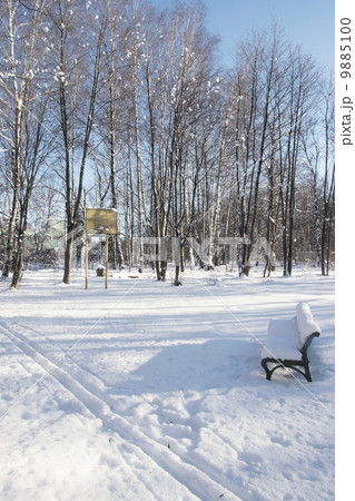 Snow-covered bench in a Sunny winter day XXXL 9885100