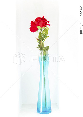 水色の花瓶に挿された一輪の真っ赤なバラの花の写真素材 9885621 Pixta