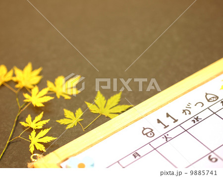 もみじとカレンダー 9885741