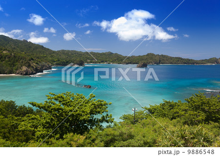 ボニンブルーと沈没船 9886548