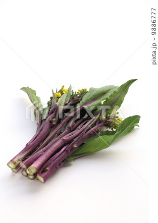 紅菜苔 9886777