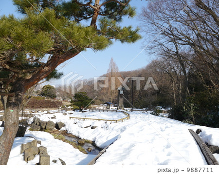 雪景色の中沢池公園 雪景色の中沢池公園 9887711