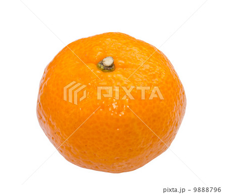 Orange fruit 9888796