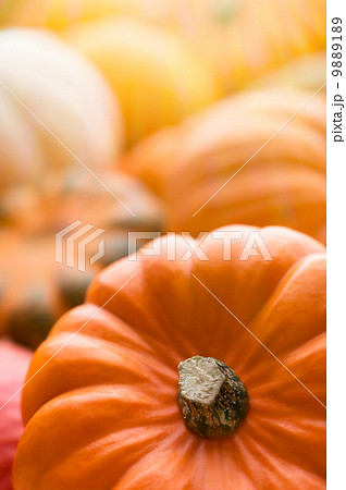 Pumpkins background Pumpkins background 9889189