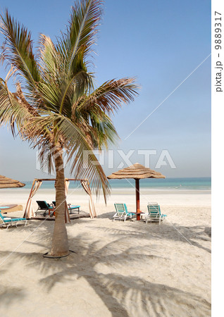 Beach of the luxury hotel, Ajman, UAE 9889317