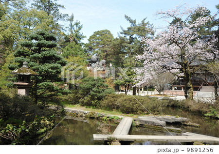 金沢　尾山神社の庭園 9891256