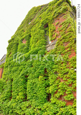 函館　レンガ倉庫 9891724