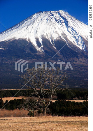 朝霧高原からの富士山 9892166