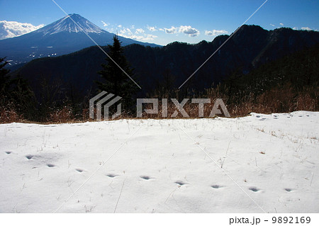 御坂山地・大石峠からの富士山 9892169