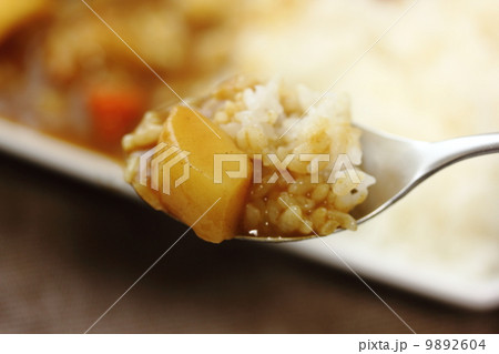 カレーライス 9892604