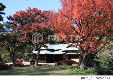 東御苑諏訪の茶屋 東御苑諏訪の茶屋 9892753