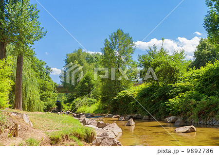 The mountain river in canyon in Baden-Baden. Europe, 9892786