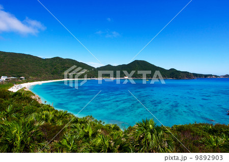 阿波連ビーチ 9892903