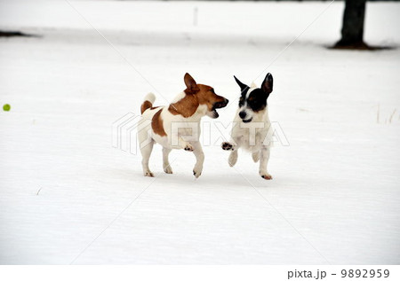 忘れ物… 9892959