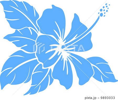 Hibiscus flower. Silhouette 9893033