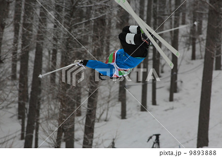 モーグル 9893888