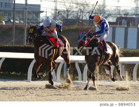 ダート競馬　 9894053